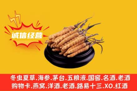 南宁市宾阳回收冬虫夏草